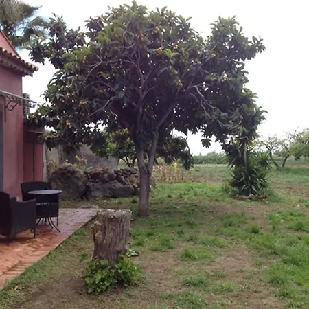Villa Del Nespolo