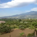 فيلة Del Nespolo