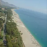 فيلة Del Nespolo