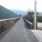 فيلة Del Nespolo *